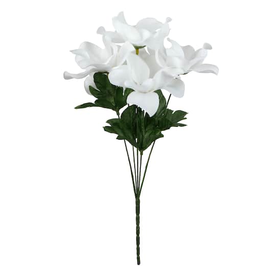 12" Magnolia Bush by Ashland